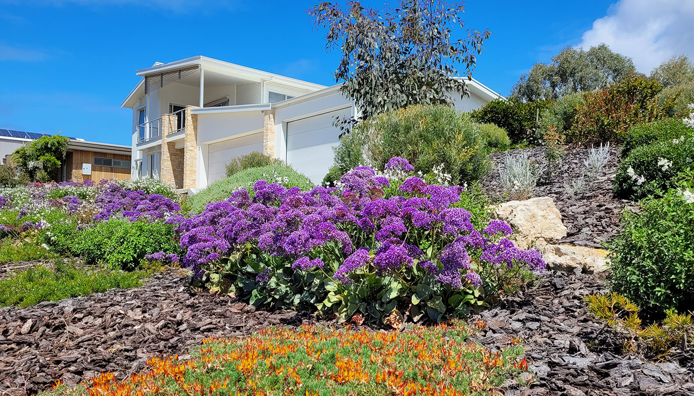 Purple flowering garden beside a modern white home in Victor Harbor