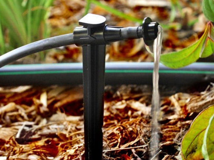 Automatic Drip Line Watering Automatic Drip Line Watering