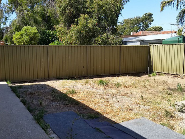 Back Courtyard Garden Problem