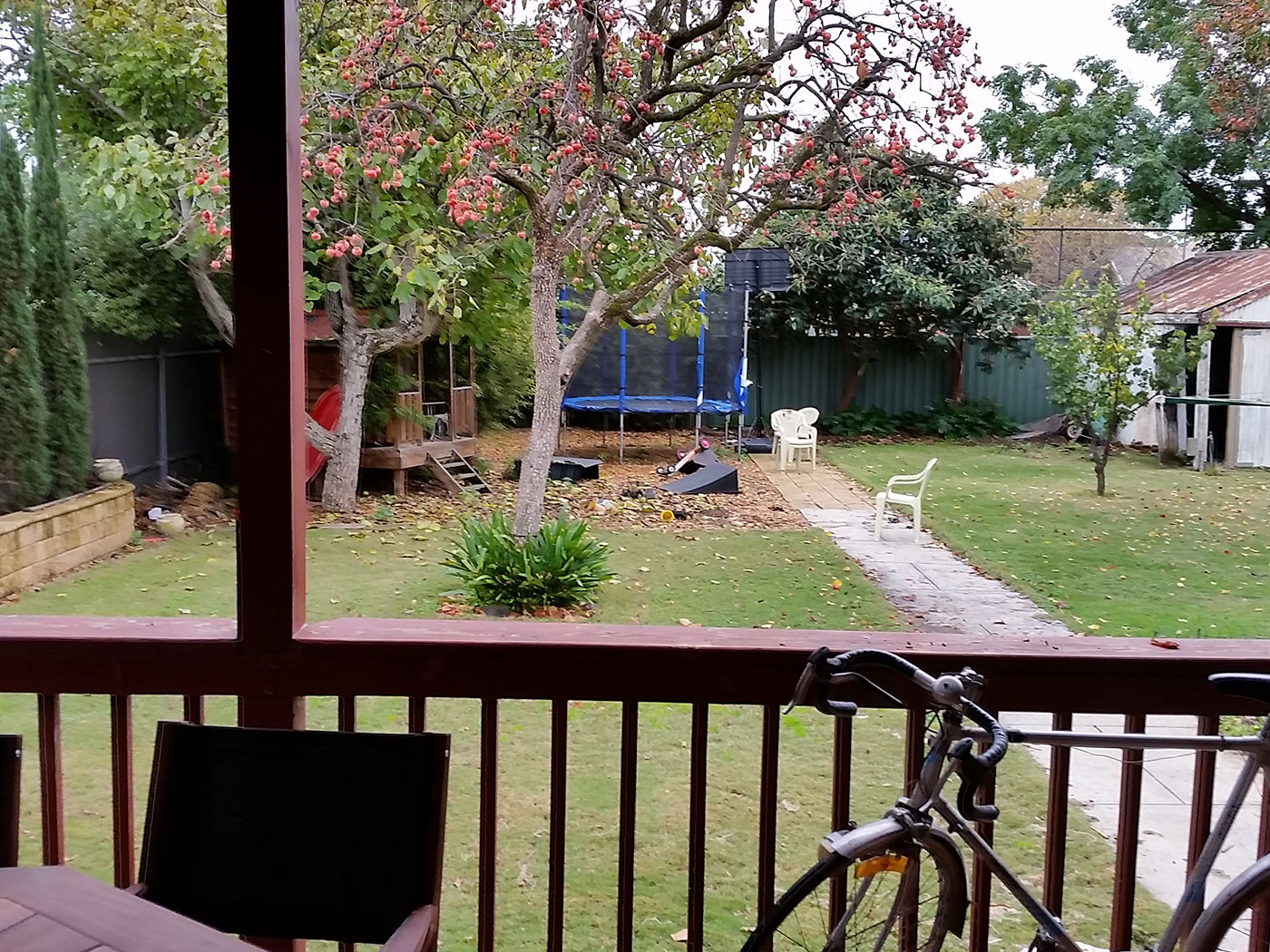 Backyard Garden (Before Landscaping)