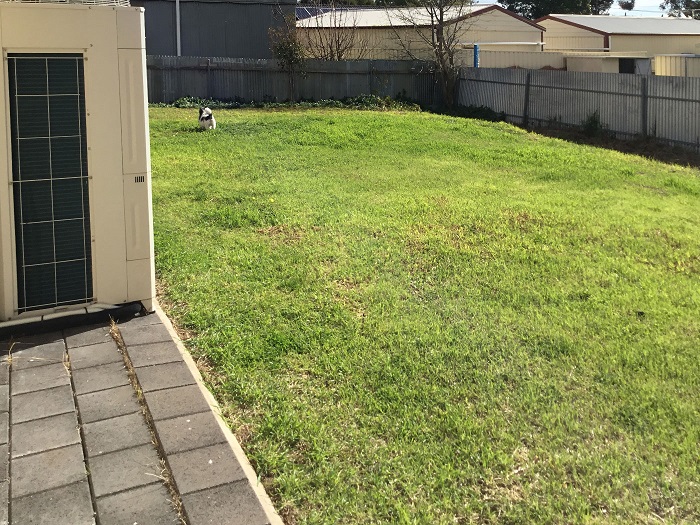 Backyard Makeover Hope Valley (Before) Backyard Makeover Hope Valley (Before)
