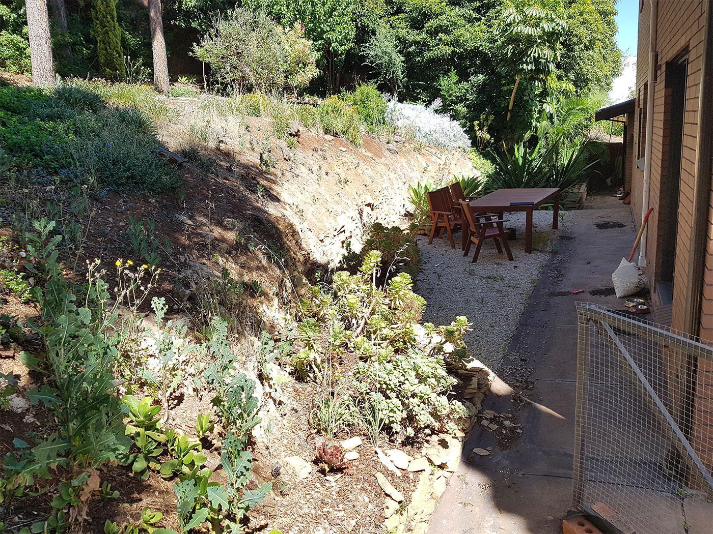 Back Garden Problem Panorama
