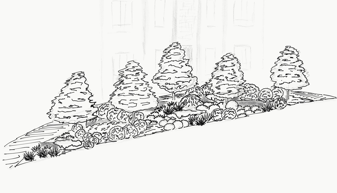 Front Garden Concept Design Sketch Front Garden Concept Design Sketch