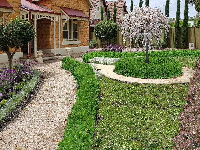 Low Maintenance Formal Front Garden Adelaide Low Maintenance Formal Front Garden Adelaide
