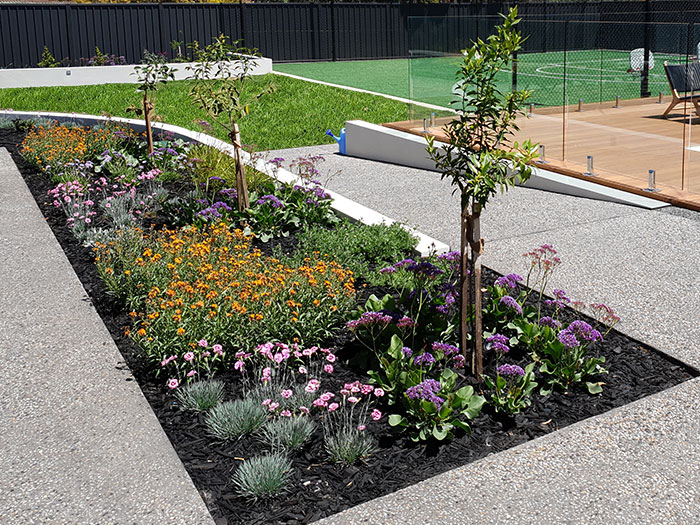 Informal Low Maintenance Garden Bed Informal Low Maintenance Garden Bed