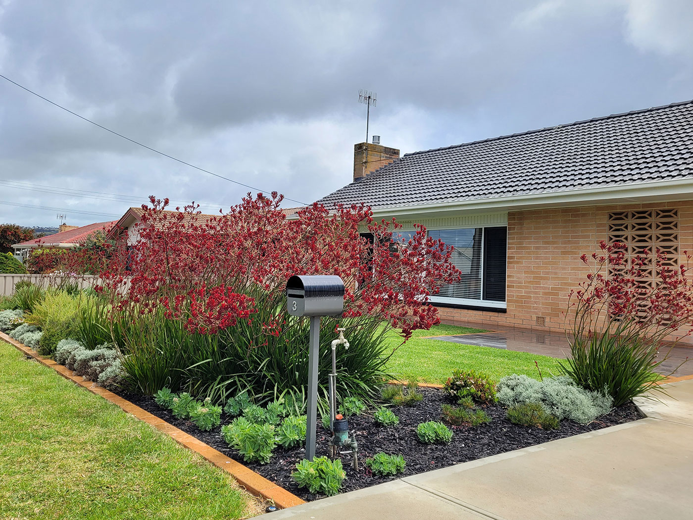 Native Front Garden Design Native Front Garden Design