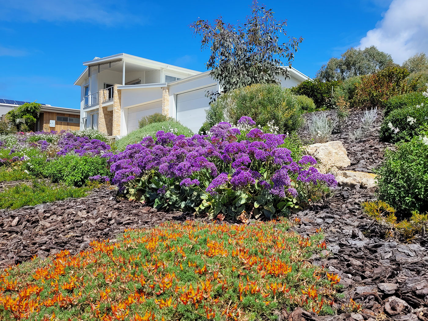 Native Garden Landscape Design Ideas Landscape Design Idea For Native Garden