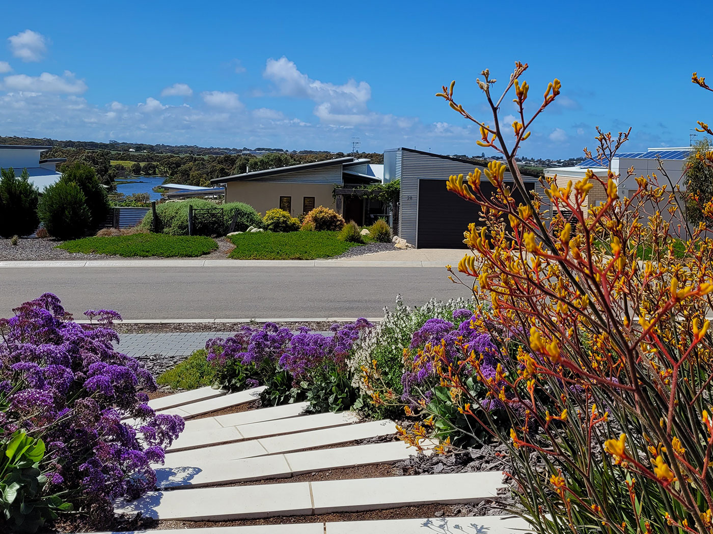 Low Maintenance Landscape Design | Native Plants