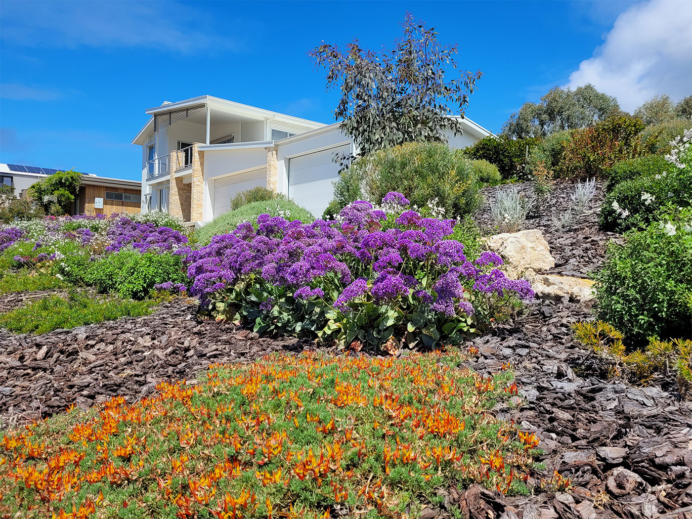 Low Maintenance Native Landscape Design