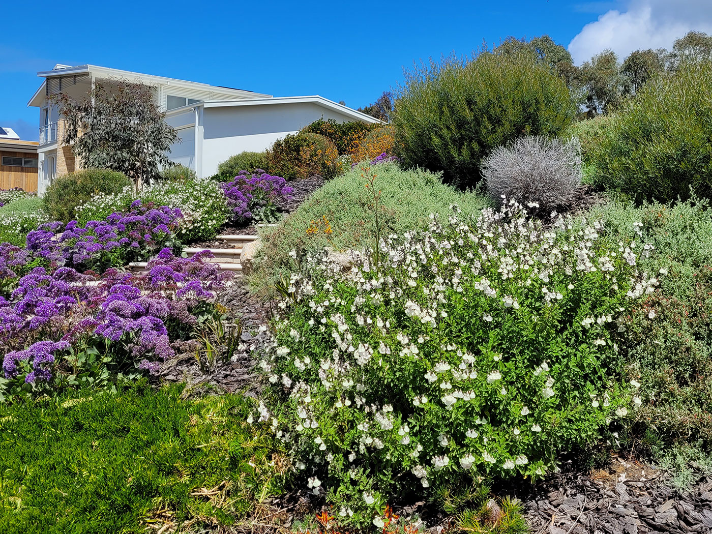 Native Landscape Design | Low Maintenance