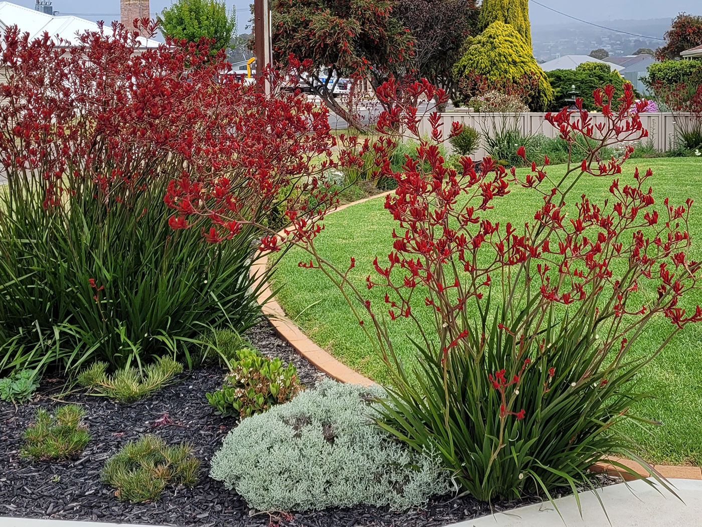 Native Landscape Design | Victor Harbor