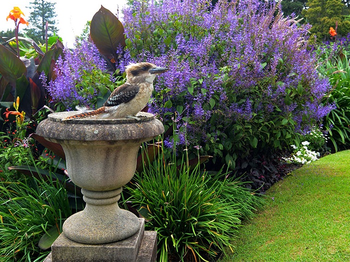 Native Landscape Design Adelaide | Native Garden Design