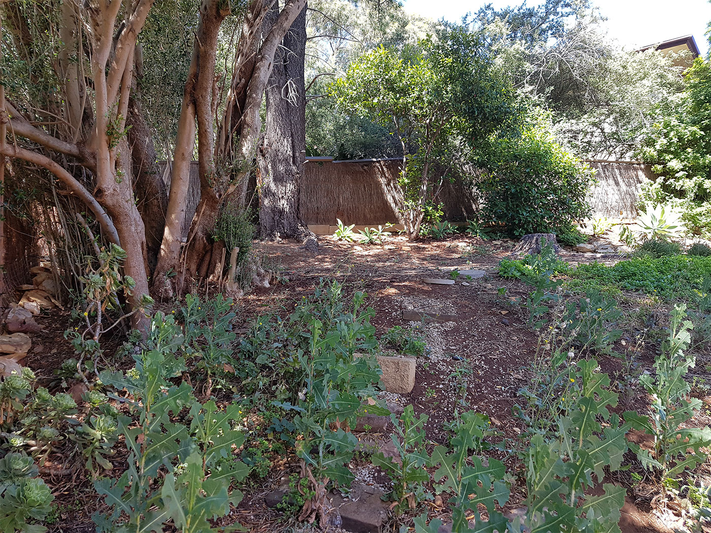 Panorama Backyard Side Access (Before) Panorama Backyard Side Access (Before)