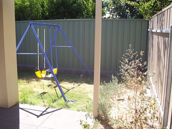 Small Backyard Makeover (Before) Small Backyard Makeover (Before)