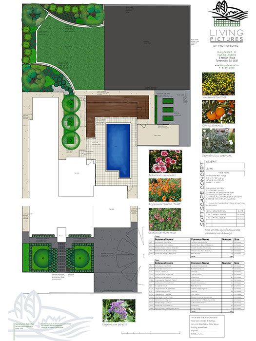 Softscape Garden Design Plan