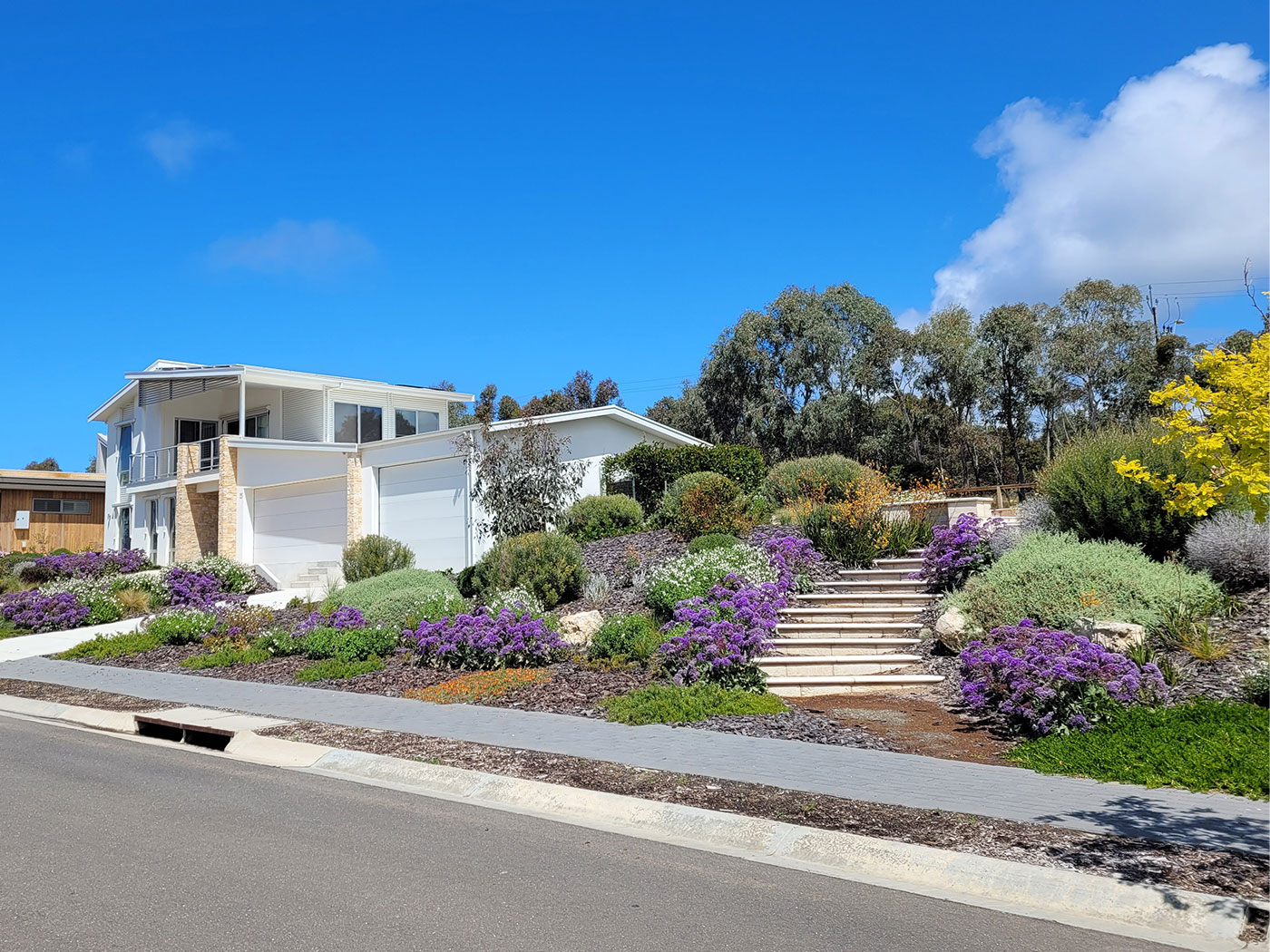 Native Garden Landscape Design (Victor Harbor)