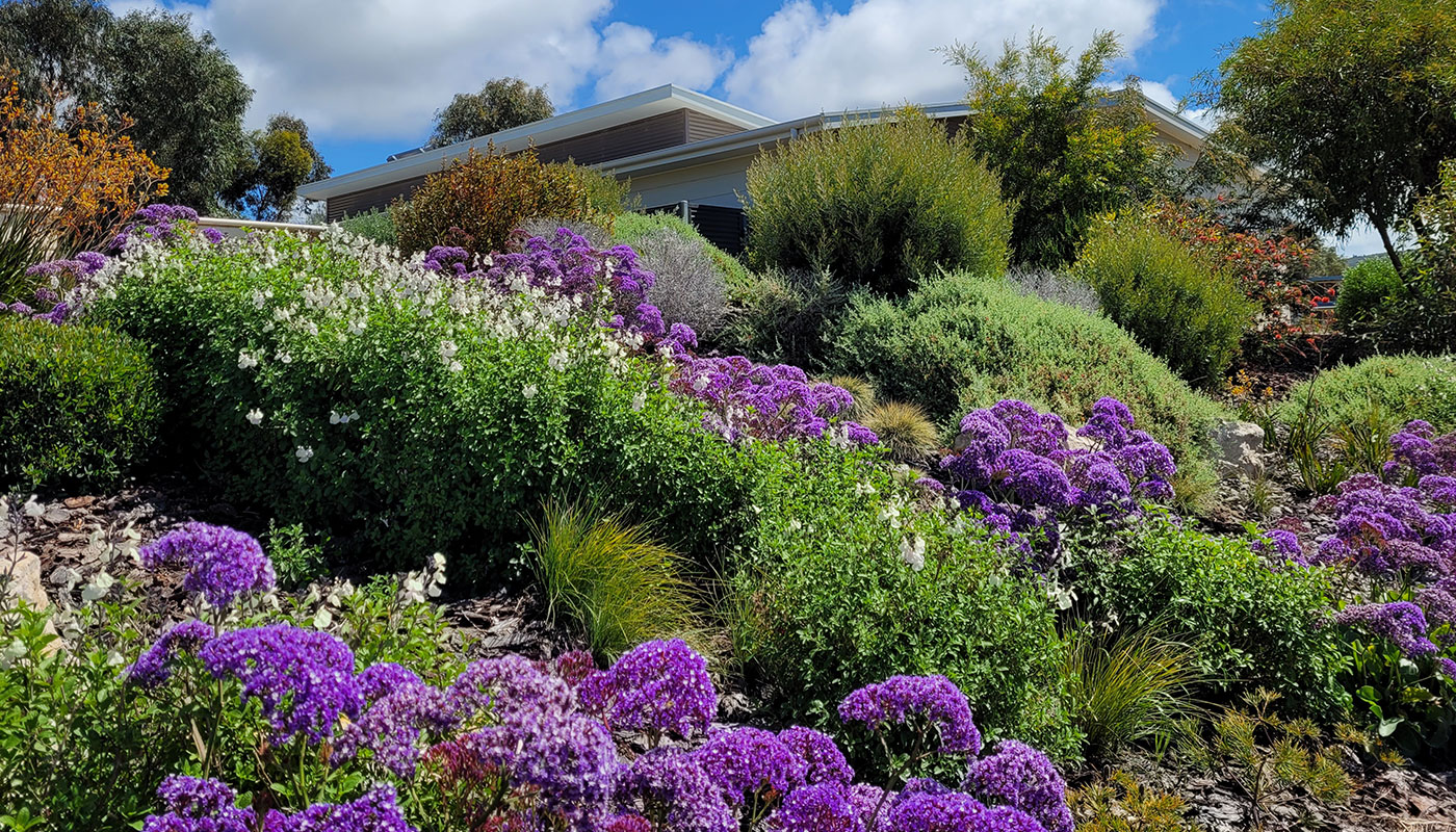 Low Maintenance Landscape Design | Native Plants