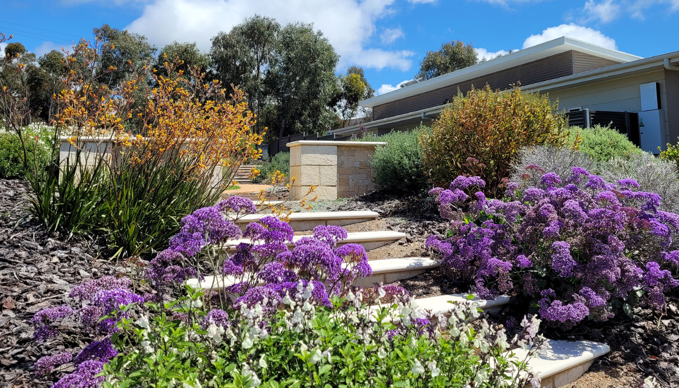 Native Landscape Design | Native Plants