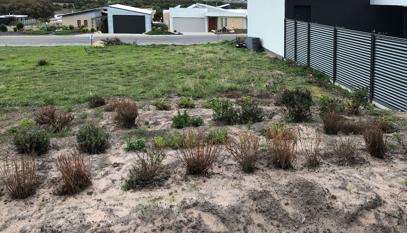 Adjoining block (before)