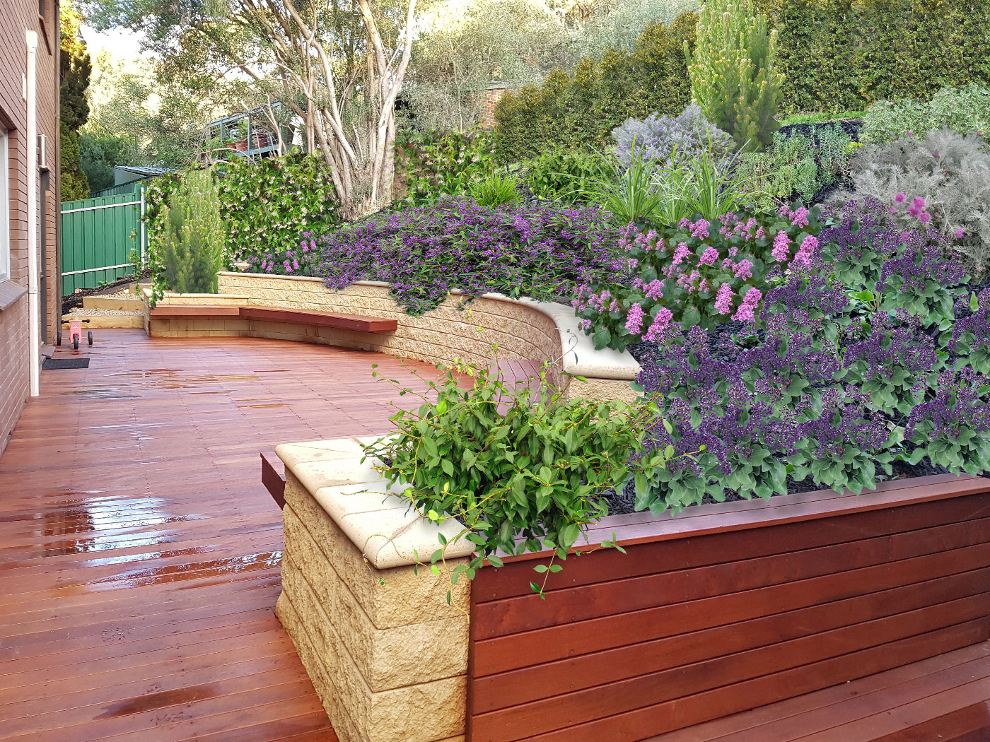 Curved timber deck beside a rendered limestone retaining wall, with mass planting of purple and pink flowering groundcovers